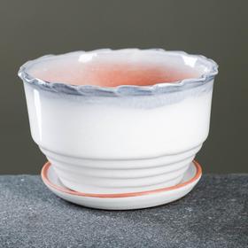 

Бонсай "Вариант" большой 7х13см