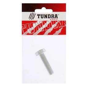 

Болт с шестигр. головкой TUNDRA krep, DIN 933, М10х40, к.п. 8.8, цинк, 1 шт.