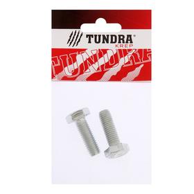

Болт с шестигр. головкой TUNDRA krep, DIN 933, М10х30, к.п. 8.8, цинк, 2 шт.