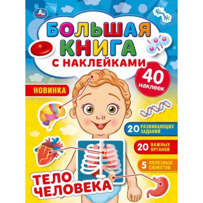 фото Большая книга с наклейками «тело человека» умка