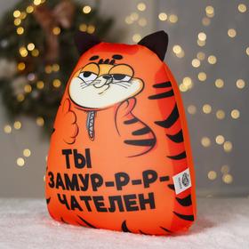 

Игрушка антистресс «Ты замурчателен», 30 см х 25 см х 15 см