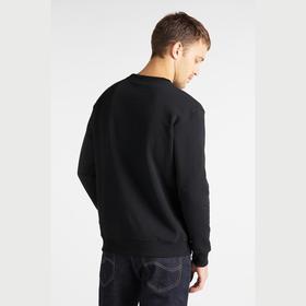 

Джемпер мужской Lee PLAIN CREW SWS, размер 44 (L81ITJ01)