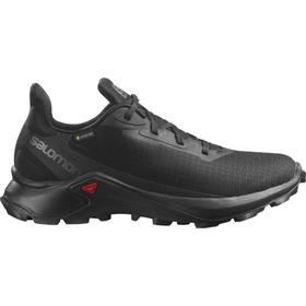 

Кроссовки женские Salomon ALPHACROSS 3 GTX W, размер 41 (L41447400)
