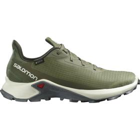

Кроссовки мужские Salomon ALPHACROSS 3 GTX, размер 42,5 (L41359500)