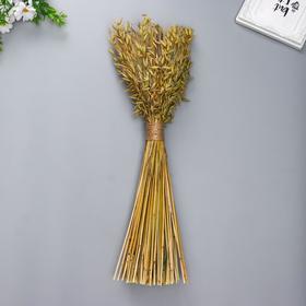 

Букет из колосовых (пшеница, чумиза, овёс, бессмертник) 48 см
