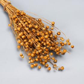 

Букет из сухоцветов "Лён" 85 гр