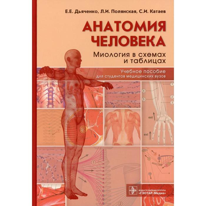 Анатомия человека: миология в схемах и таблицах. Дьяченко Е.Е., Полянская Л.И., Катаев С.И.
