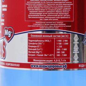 

Минеральная вода СТЭЛМАС Mg газированная 0,5 л.