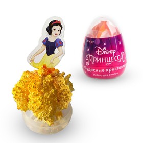 Яйцо-сюрприз 'Вырасти кристалл', набор для опытов, Принцессы МИКС Ош
