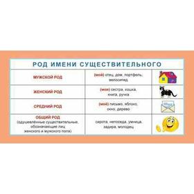 

Карточка. Род имени существительного