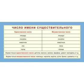

Карточка. Число имени существительного