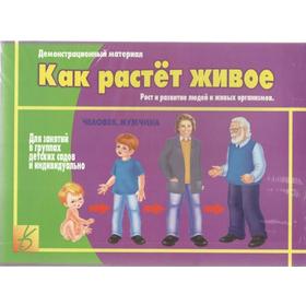 

Набор карточек. Как растет живое Д-412