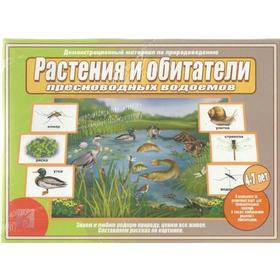 

Набор карточек. Растения и обитатели пресноводных водоемов