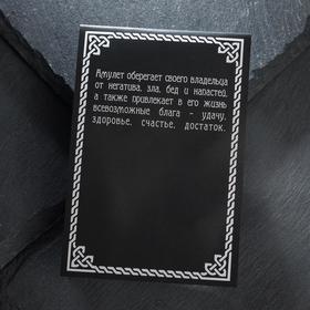 

Славянский рунический амулет "Цветок папоротника" на шнурке, цвет зелёный в серебре