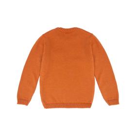 

Джемпер для мальчика, рост 122 см, цвет кирпичный