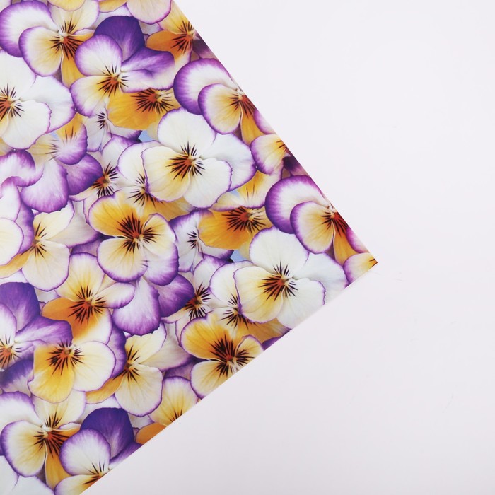 Бумага упаковочная "Анютины глазки", 70 х 100 см