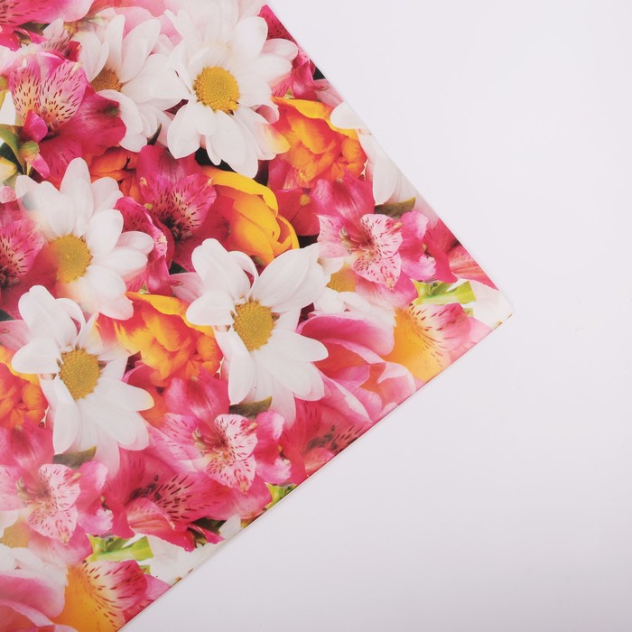 Бумага упаковочная "Ромашки с ирисами", 70 х 100 см