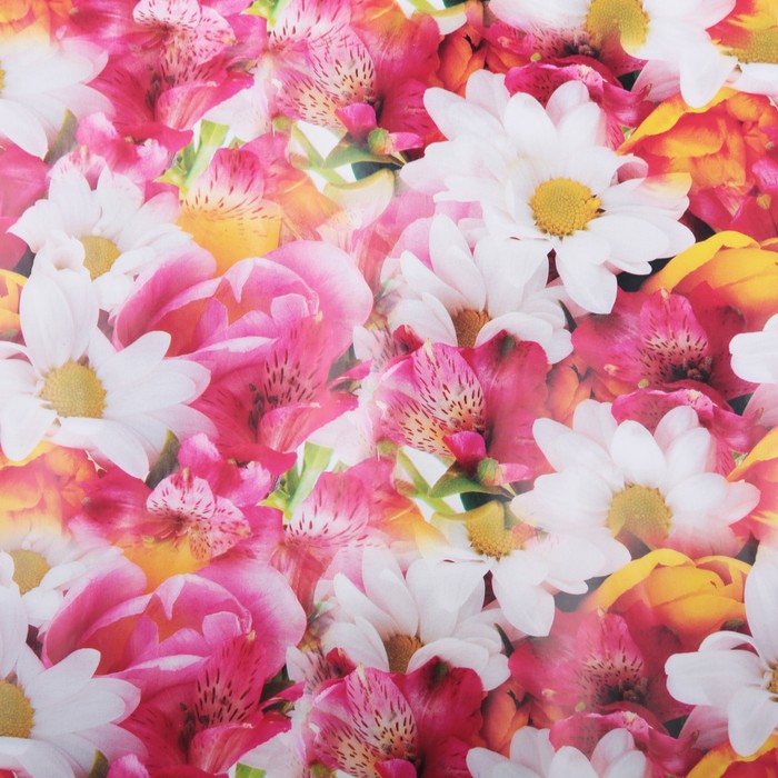 Бумага упаковочная "Ромашки с ирисами", 70 х 100 см