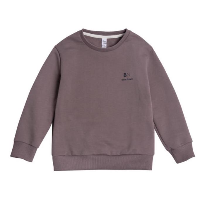 

Свитшот для мальчика Basic, рост 146 см, цвет коричневый