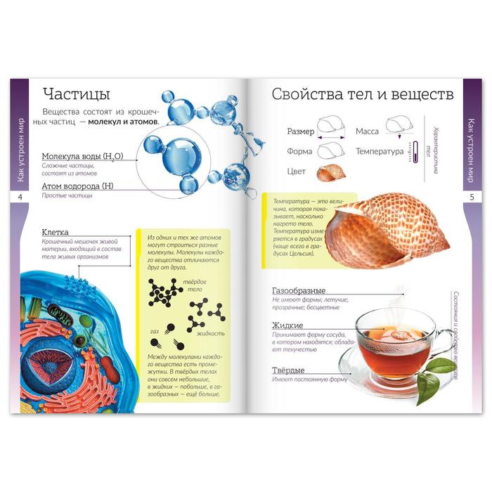 

Набор книжек-шпаргалок «Окружающий мир», 4 шт. по 16 стр.