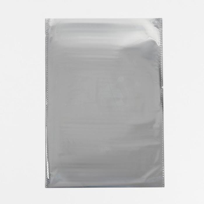 

Пакет пластиковый «Веселье», 20 × 30 см