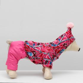 

Комбинезон зимний для животных "Тандем", 3XL (ДС 33-35, ОШ 35-37, ОГ 44-48 см), микс