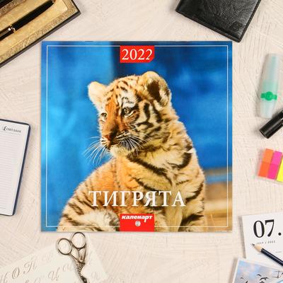 Аид Новые Серии 2022 Года