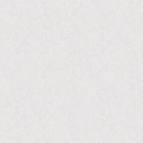 

Обои дуплекс на бумажной основе Саратовские обои Д765-00 Фурор фон, 0.53*10м