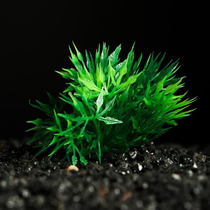 Растение искусственное аквариумное Пижон Аква, зелёное, 5 см