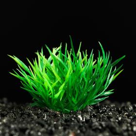 Растение искусственное аквариумное, 5 см, зелёное Ош