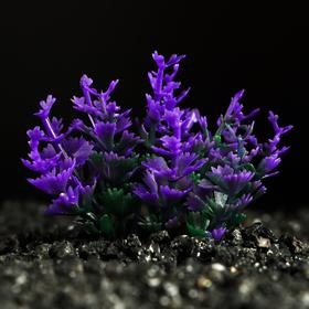 Растение искусственное аквариумное, 5 см, фиолетовое Ош