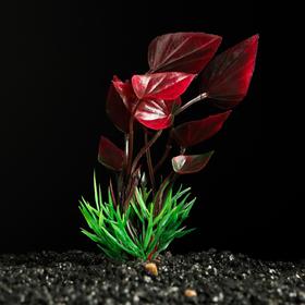 Растение искусственное аквариумное, 10 см, красно-зелёное Ош