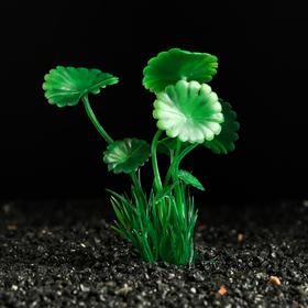 Растение искусственное аквариумное, 10 см, зелёное Ош