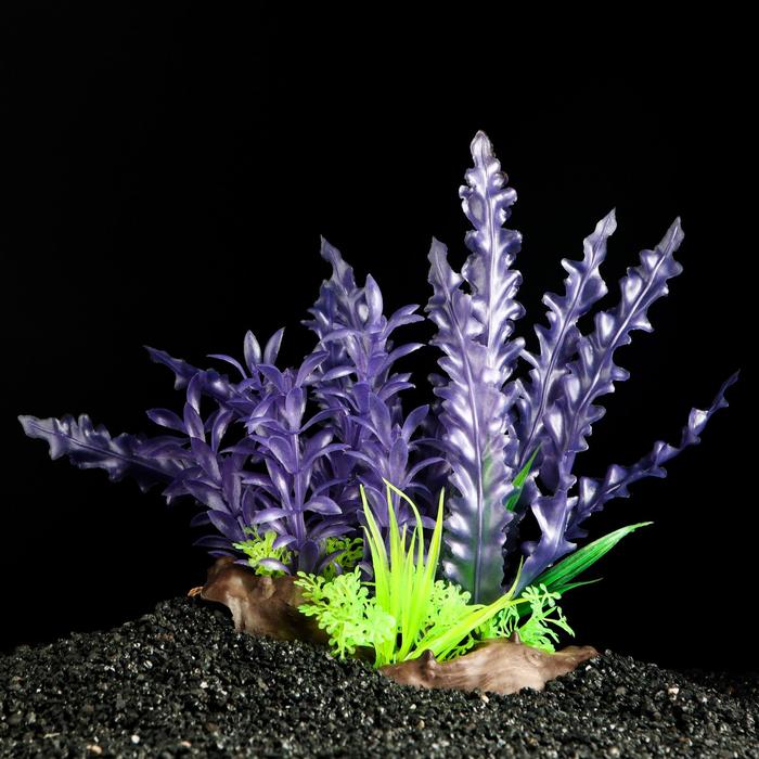 Растение искусственное аквариумное на платформе в виде коряги, 18 см, фиолетовое