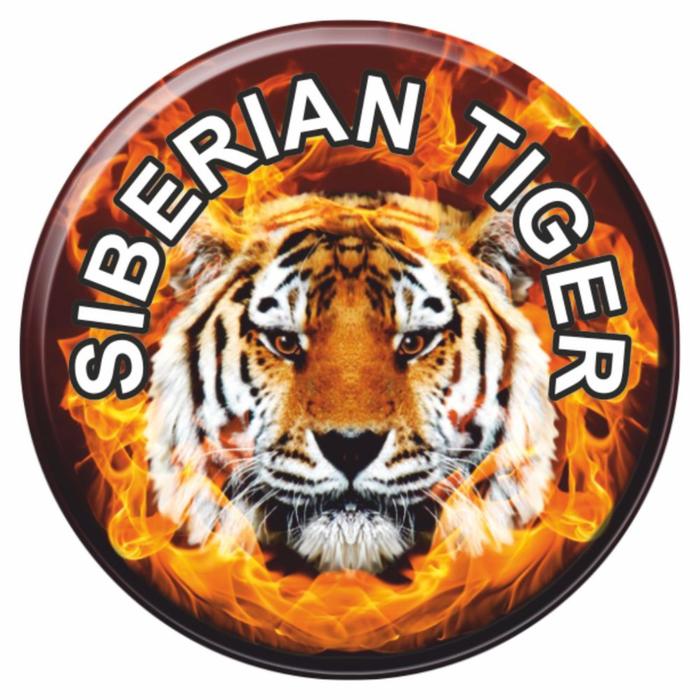 Наклейка SIBERIAN TIGER, полимер, d=50 мм наклейка siberian tiger полимер d 50 мм