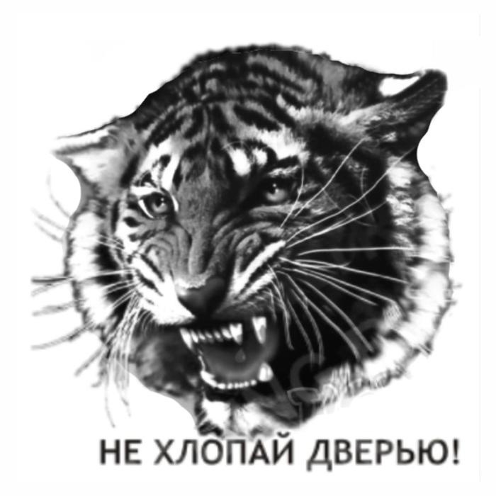 

Наклейка-квадрат "Тигр" Не хлопай дверью, 9 х 9 см