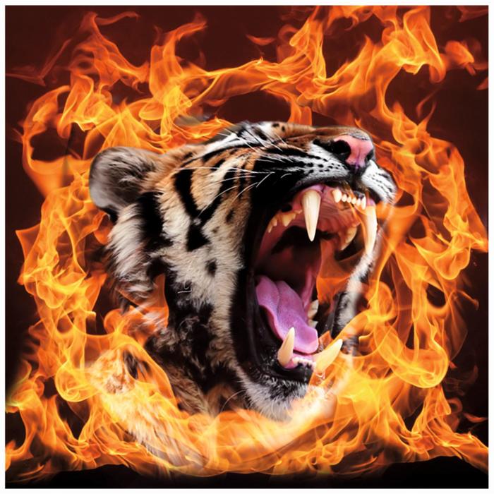 Портрет Тигр в огне, 30 х 30 см