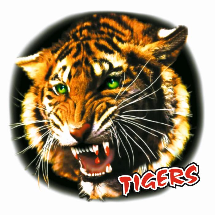 Портрет Тигр, 35 х 33 см