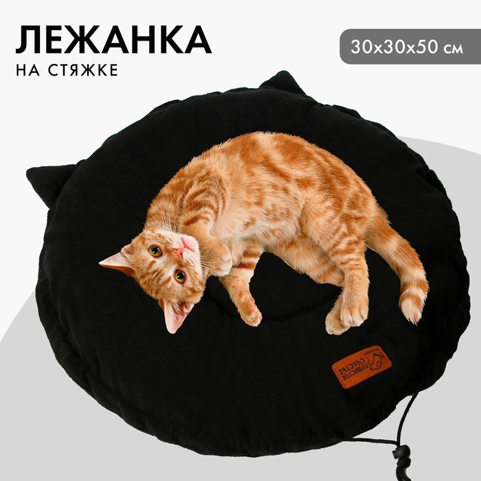 Лежанка для животных на стяжке с ушками цвет чёрный 30-30-50 см 299₽