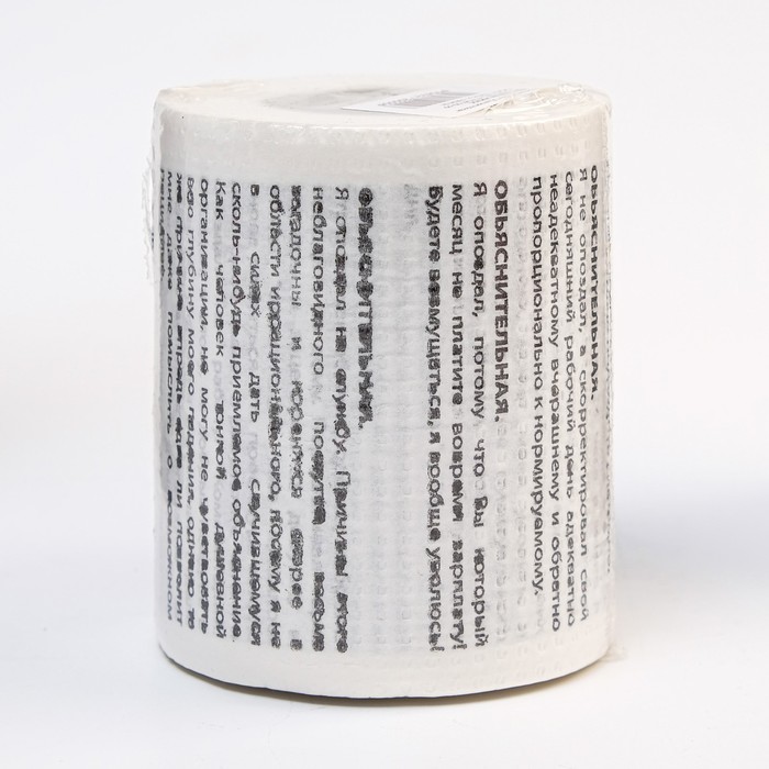 Сувенирная туалетная бумага Объяснительная, 9,5х10х9,5 см туалетная бумага сувенирная сердечки с рисунком 1 рулон