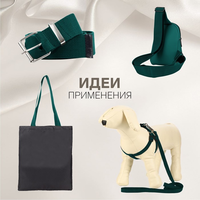 

Стропа, 25 мм, 2,5 ± 1 м, цвет малахит