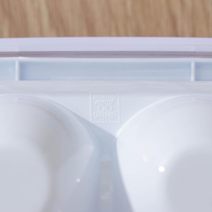 Контейнер для хранения яиц, 30 ячеек, 32,5×27,5×7,5 см