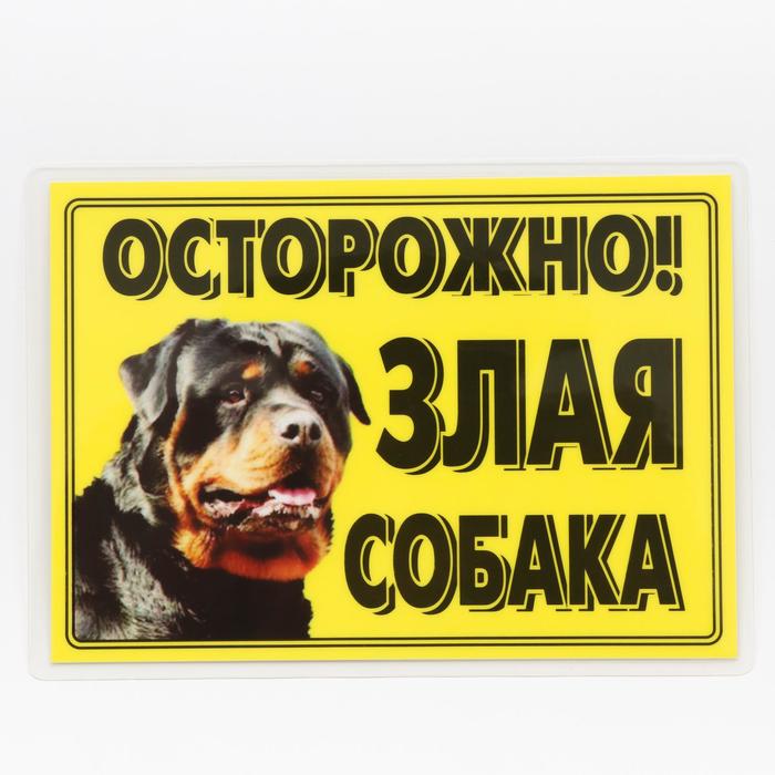 

Табличка ламинированая "Осторожно! Злая собака" Ротвейлер