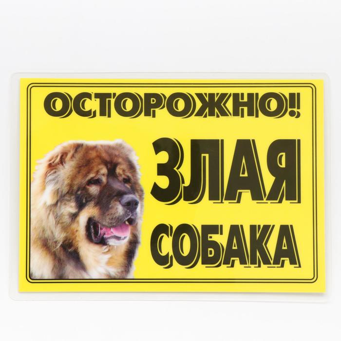 

Табличка ламинированая "Осторожно! Злая собака" Кавказец