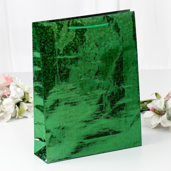 Пакет голографический, зелёный, рисунок МИКС, 26 х 8 х 34 см