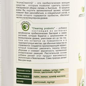 

Чистящее средство AromaCleaninQ "Чувство гармонии", спрей, для уборки дома, 500 мл