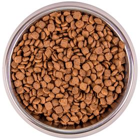 

Сухой корм Monge Cat BWild GRAIN FREE для кошек, беззерновой, тунец, 1,5 кг