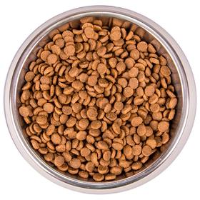 

Сухой корм Monge Cat Speciality Line Monoprotein для котят, форели 400 г