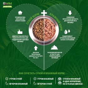 

Сухой корм Monge Cat BWild LOW GRAIN для кошек, низкозерновой, анчоусы, 10 кг