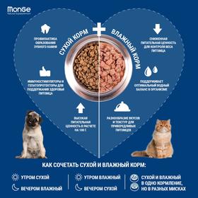 

Влажный корм Monge Dog Monoprotein для собак, паштет, утка, консервы, 400 г